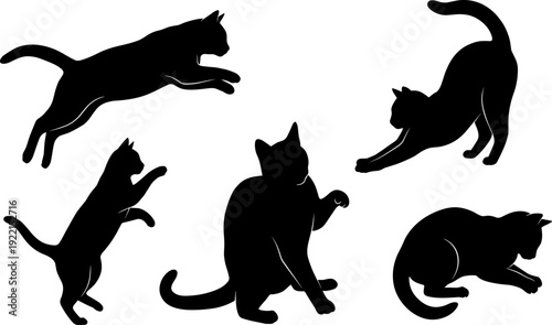 Cat silhouettes collection, jumping stretching playing poses, black feline silhouette isolated illustration set for design use