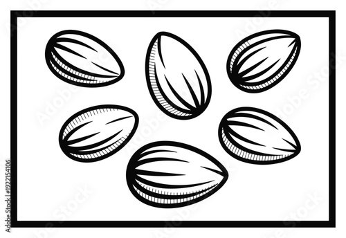 Pistachio Nuts Black and White Vector Illustration