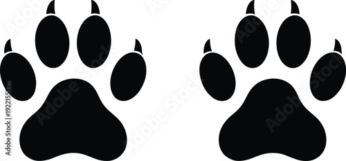 Animal paw prints silhouette with claws, bold vector illustration for wildlife themes, decorative icons, pet projects, and tracking designs