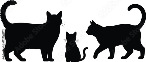 Black cat silhouette set featuring standing, sitting, and walking poses, perfect for pet design, animal artwork, feline behavior, and decorative projects