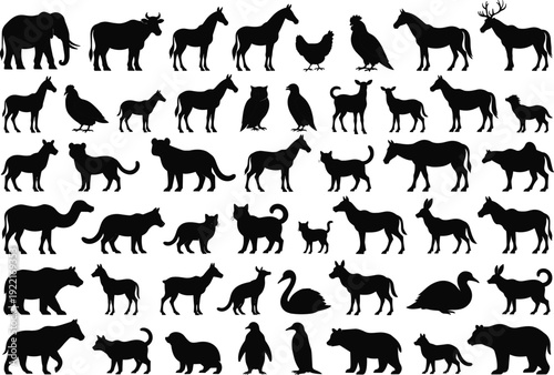 Collection of black animal silhouettes including elephant horse cow cat dog bird bear fox deer owl duck penguin vector icons set on white background