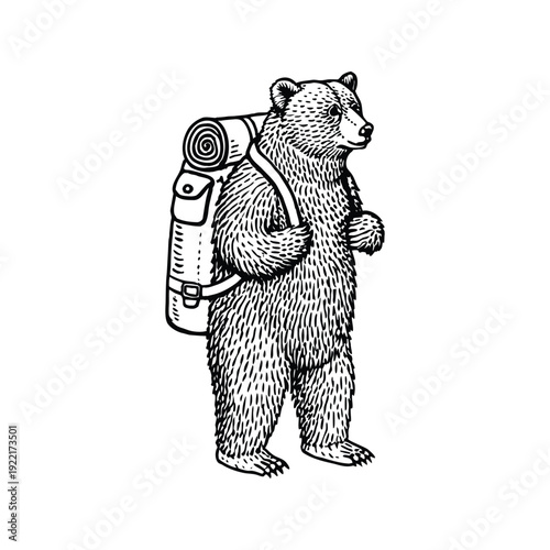 Black and white vintage illustration of a bear standing wearing a hiking backpack hand drawn style vector art