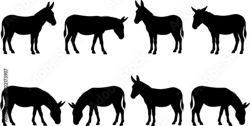 Donkey silhouettes set, mule animal collection, farm livestock standing grazing poses isolated vector illustration for agriculture rural design elements