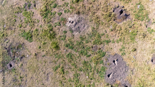 Foto aerial view looking down over a vast field of Prairie dog burrows and tunnel ope