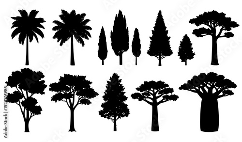 Mixed Tree Silhouette Collection – Palm, Pine, Cypress, Baobab & Deciduous Vector Set