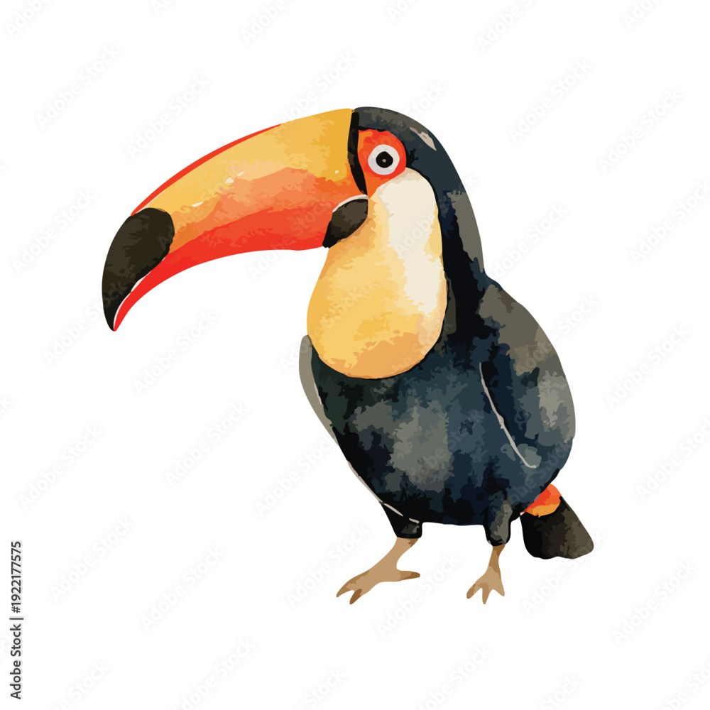 Fototapeta premium Vibrant Toucan Bird Illustration Colorful Tropical Wildlife Art.