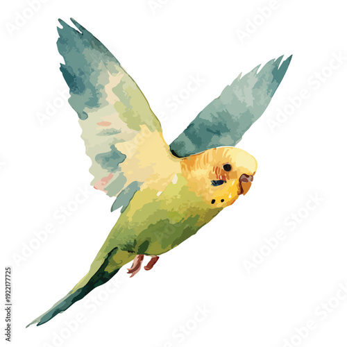 Vibrant Watercolor Budgerigar Flying Illustration 2.