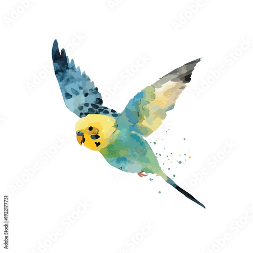 Vibrant Watercolor Budgerigar Flying Illustration.