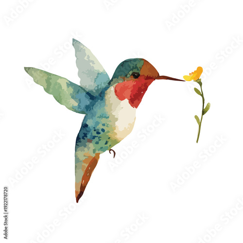 Vibrant Watercolor Hummingbird with Yellow Flower.