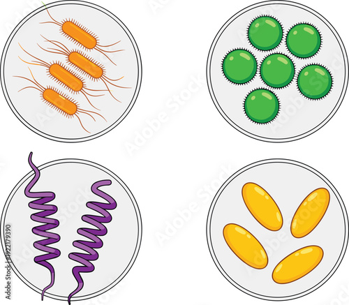 Microbiology identification set with labeled Coronavirus and bacterial strains