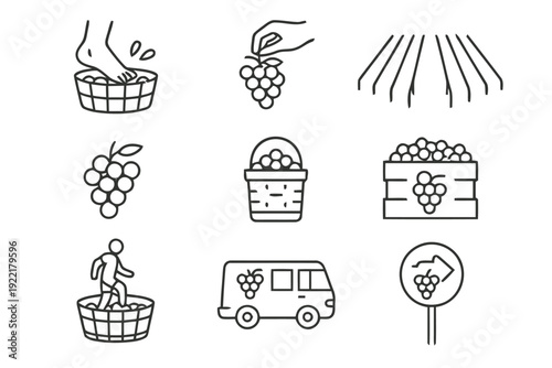 Grape harvesting and winemaking activities icons showing grape processing steps