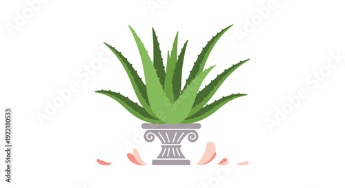Potted Aloe Plant in Classical Urn