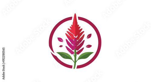 Colorful Flower Spike with Circular Frame