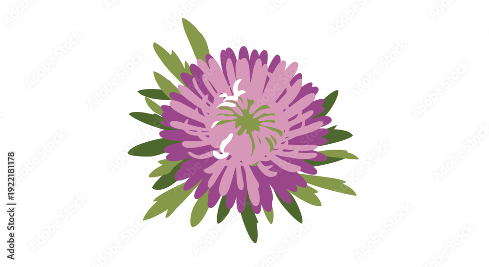 Fototapeta premium Purple flower head with green leaves in center