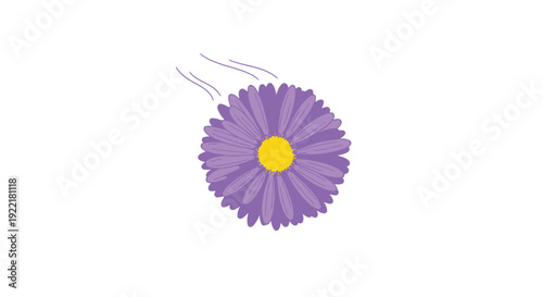Purple Daisy Flower with Yellow Center in Motion