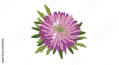 Purple flower head with green leaves in center