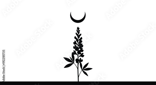 Moonlit plant silhouette with crescent above flat ground