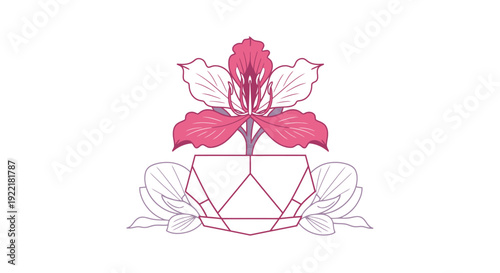 Magnolia plant in geometric pot with leaves