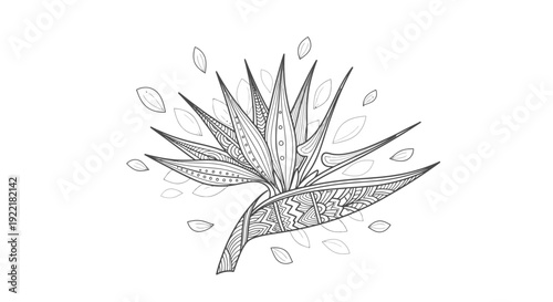 Bird of Paradise Flower Stem with Leaves in Abstract Zentangle Style