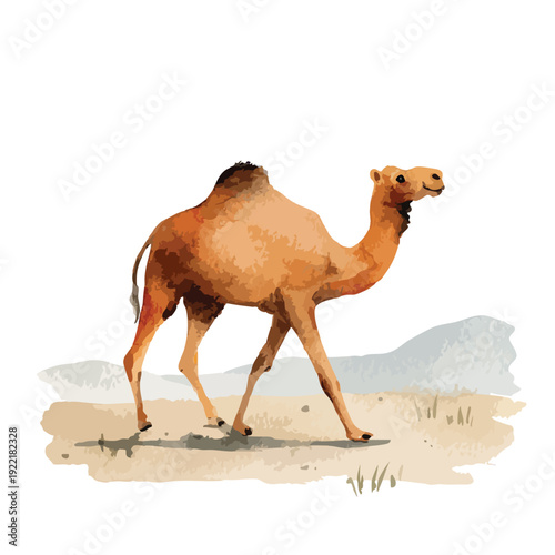 Watercolor Dromedary Camel Walking Desert Illustration.