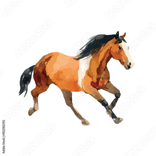 Watercolor Horse Running Illustration.