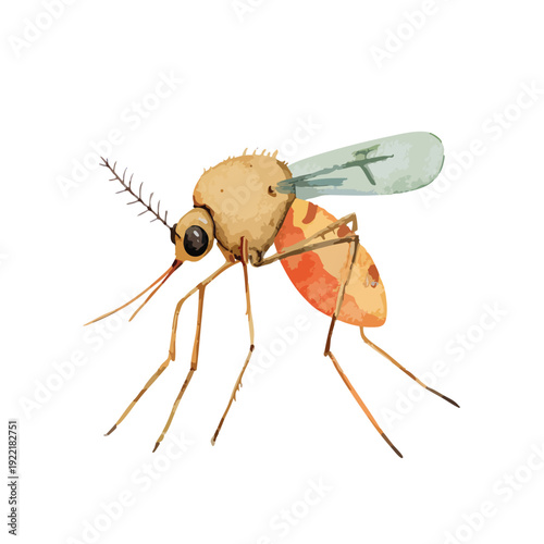Watercolor Mosquito Illustration Vector Art.