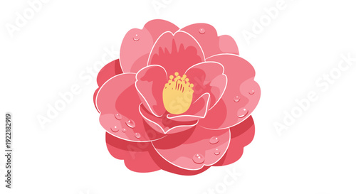 Pink Camellia flower with water droplets center composition