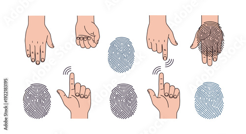 Illustration demonstrating various hand gestures for touch screen interaction and biometric identification through detailed fingerprint patterns.