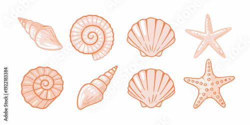 Collection of delicate coral colored seashells and starfish illustrations