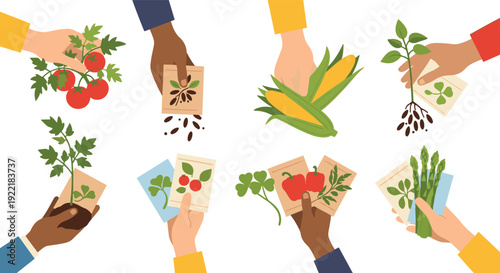Top view of multiple hands holding diverse gardening items such as tomato vines, corn, seed packets, and young seedlings for spring planting.