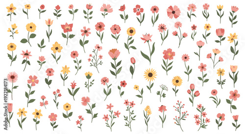 Large collection of diverse wildflower illustrations in various shades of pink red and yellow shows a beautiful variety of nature.