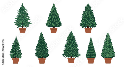 Variety of evergreen trees and Christmas trees in brown pots arranged in two rows against a plain white background for festive designs.