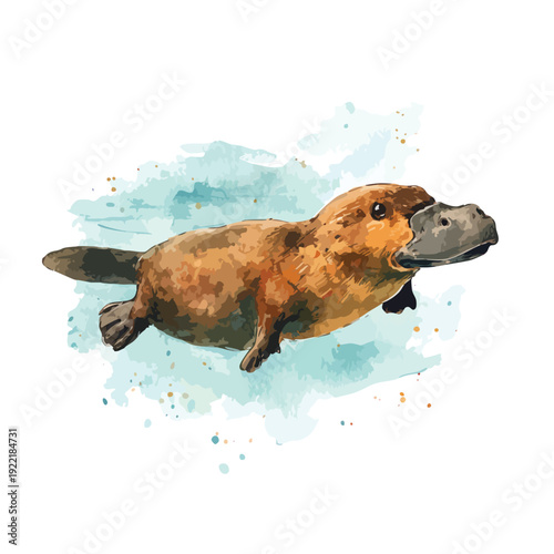 Watercolor Platypus Illustration with Artistic Water Splash.
