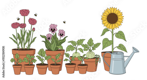 Row of various flowers and vegetables growing in clay pots with a metal watering can and flying honey bees on a white background.
