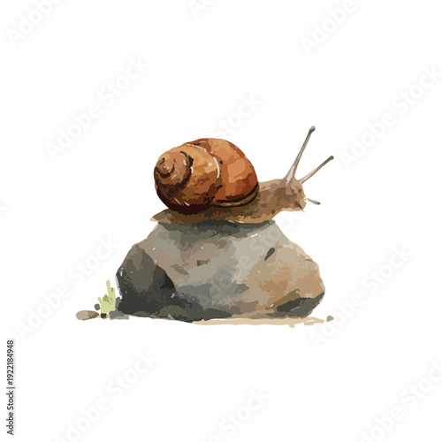 Watercolor Snail on Rock Illustration Garden Mollusk Vector Art.