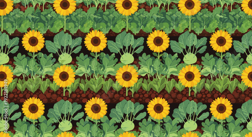 Seamless pattern of a vegetable garden with rows of sunflowers, leafy greens, and kohlrabi growing in brown soil.