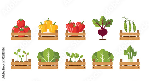 Assortment of fresh garden vegetables like tomatoes, peppers, beets, peas, and lettuce displayed in small wooden crates.