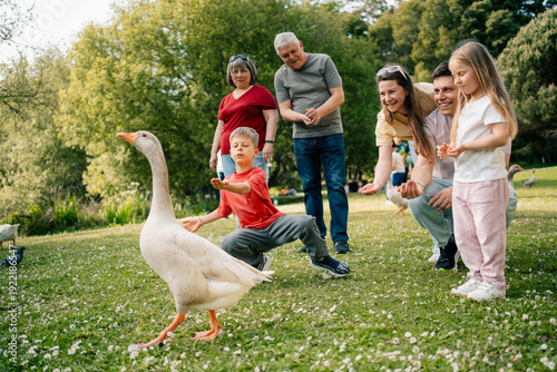Group feeding goose on grassy field surrounded by trees
