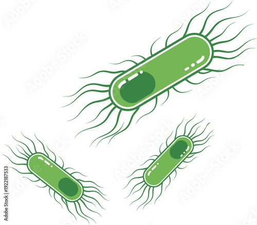 Rod-shaped green bacteria with flagella vector illustration