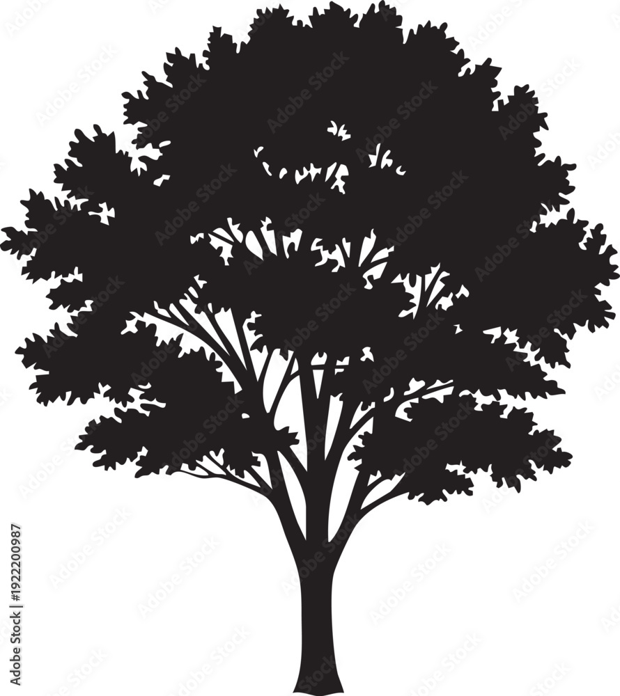 Obraz premium A black silhouette of a tree with a thick trunk and sprawling branches against a white background