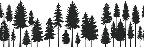 WebForest silhouette illustration, coniferous pine and fir trees, natural landscape skyline, wilderness environment design, outdoor nature theme, flat vector artwork