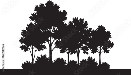 A group of trees in silhouette against a white background