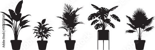 A set of five black silhouettes of various potted plants against a white background
