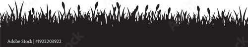 A black silhouette of grass and plants against a white background