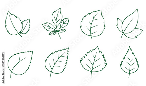 Green leaf outline vector icon set isolated on white background for botanical and eco branding design