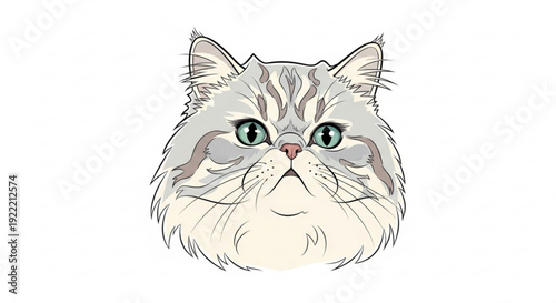 Gray and white fluffy cat head with green eyes on white background