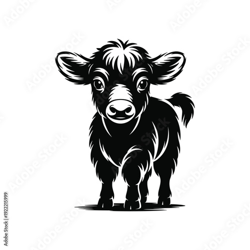Baby Highland Cow Calf Walking Front View Silhouette