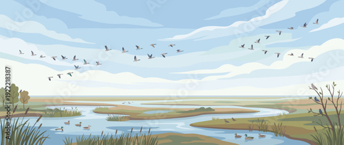 Flat vector illustration of a spring bird migration scene with flocks of geese flying in V-formations over a scenic wetland landscape with rivers, ducks swimming, and marsh reeds under a soft sky.
