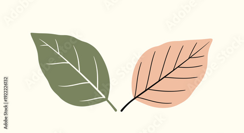A simple and elegant minimalist illustration of two abstract botanical leaves in muted green and pink on a cream background.