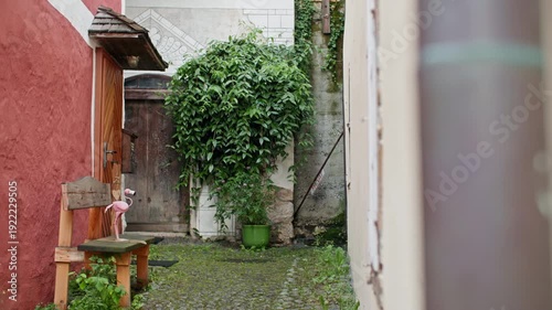 Authentic traditional houses of Hallstatt Austria historic alpine village architecture set among mountains and famous European tourist attraction